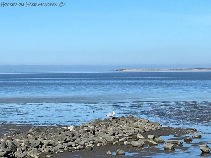 Holiday snapshot: the North Sea coast with seagulls 